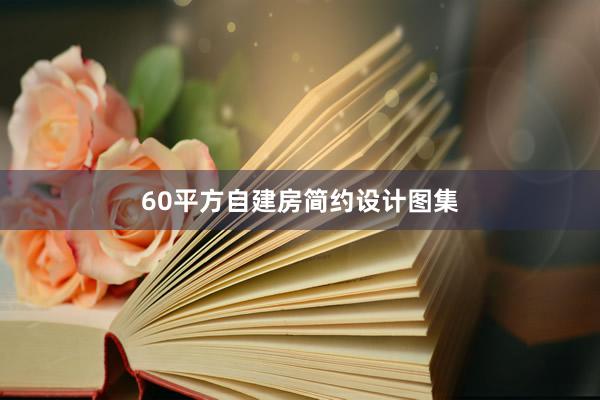 60平方自建房简约设计图集